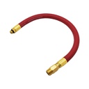 Hose Assembly 1 ft inflator Whip