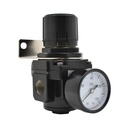1/2" Heavy Duty Regulator 0-125 PSI with Gauge