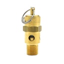 1/4" MPT Brass Safety Valve w/pull Ring- 125 PSI - ASME Certified