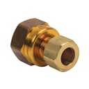 1081-T 66-C 3/8" Comp x 1/2" FIP Lead-Free Brass Adapter