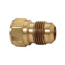 1131-T 46 1/2" x 1/2" Brass Flare FIP Adapter