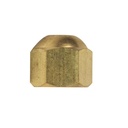 1225-T 40-F 1/4" Brass Flare Cap - 2/Pack