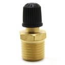 1234-T 1/4" MIP Vent Valve & Cap