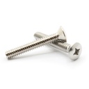 1692-T Waste & Overflow Face Plate Screws (2-Pack)