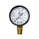 2333-T 100# 2" 100 PSI - 1/4" NPT Bottom Mount Pressure Gauge (G2012-100)