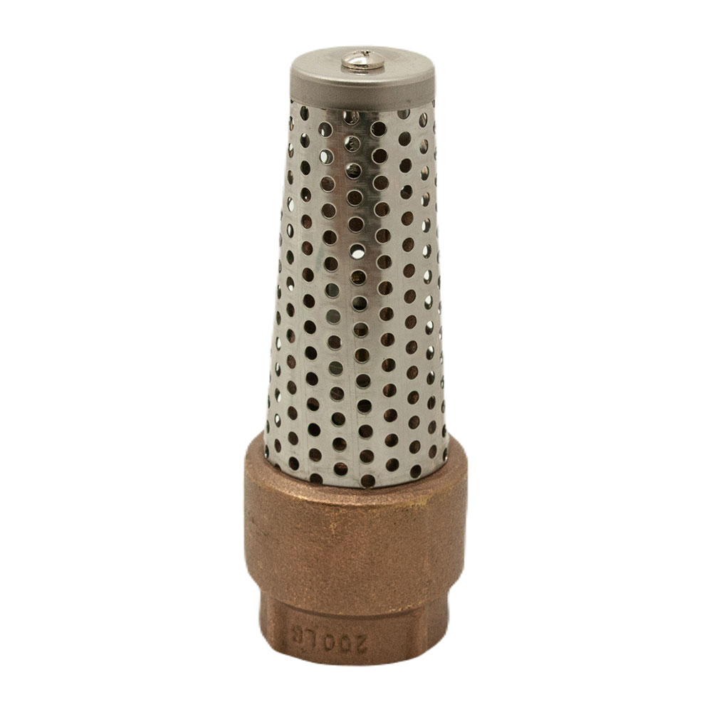 1" FIP Brass Foot Valve