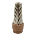 1" FIP Brass Foot Valve