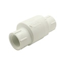 3/4" Threaded Spring Check Valve