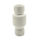 1/2" Threaded PVC Swing Check Valve