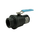 3/4"Threaded x Threaded PVC Ball Valve with Stainless Steel Handle SCH80