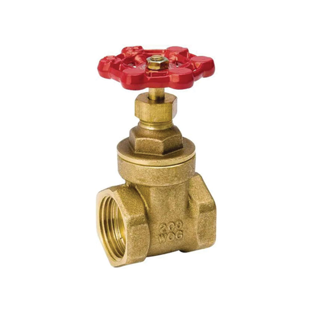 1-1/4" FIP Brass Gate Valve - Economy