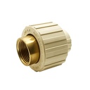 3/4" CPVC X FIP Transition Union