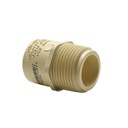 1/2" CPVC Male Adapter