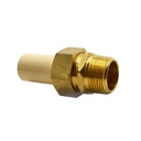 1/2" CPVC X MIP Transition Union