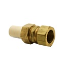 1/2" CPVC X Compression Transition Union