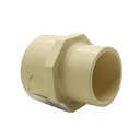 1" S X T CPVC Female Adapter