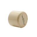 1" CPVC SLIP CAP