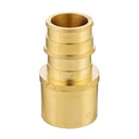 1/2" x 1/2" Brass Female Sweat Adapter F1960 x Sweat Lead Free - (PEX A)
