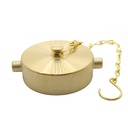 2-1/2" NH/NST Brass Cap with Chain - Pin Lug