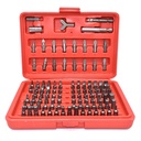 100-Piece Screwdriver Security Bit Set