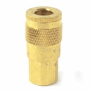 1/4" x 1/4" FPT Auto Brass Coupler - 100 Pack Bulk