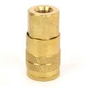 1/4" x 1/8" FPT Industrial Brass Coupler Reducer - Six Display Pack