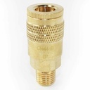 1/4" x 1/4" MPT Industrial Brass Coupler  - Single Display Pack