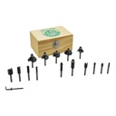 15pc Router Bit Set,1/4"Shank