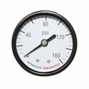 2" Dial 160 PSI 1/4" NPT Rear Mount Pressure Gauge - BULK