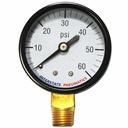 2"   60 PSI - 1/4" NPT Bottom Mount Pressure Gauge (4402332)