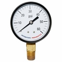 2-1/2"    60 PSI - 1/4" NPT Bottom Mount Pressure Gauge