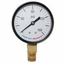2-1/2"    160 PSI - 1/4" NPT Bottom Mount Pressure Gauge