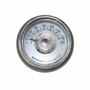 1"         160 PSI - BUTTON 1/8" NPT Rear Mount Pressure Gauge