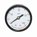 2"          160 PSI - 1/8" NPT Rear Mount Pressure Gauge  