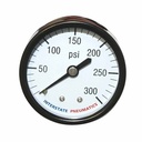 2"          300 PSI 1/4" NPT Rear Mount Pressure Gauge