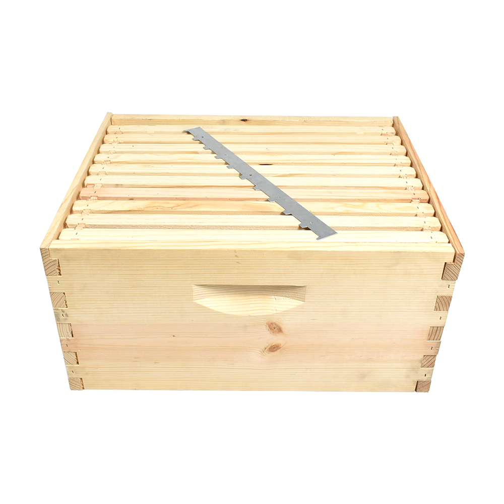 Beekeeping Beehive Brood Kit includes Frames, Foundations, Brood Box and Spacer. GLHDBOX