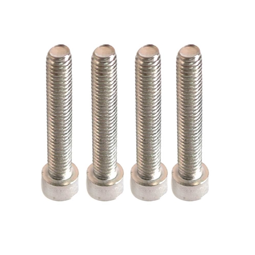 Screw - 4/pk