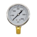 Oil Filled Pressure Gauge 2-1/2", 1/4" NPT Bottom Mount- 6000 PSI (G7022-6000)