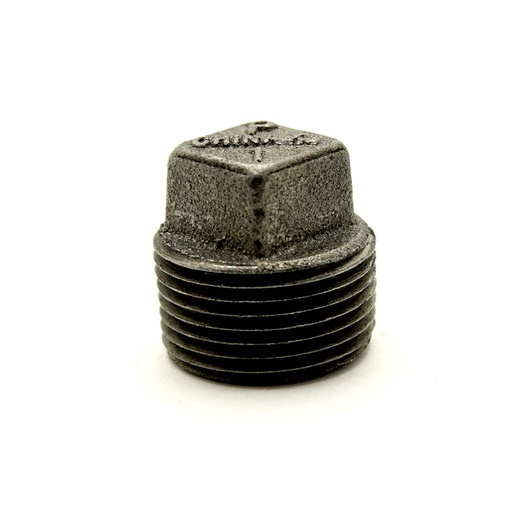 1"  Black Steel Plug