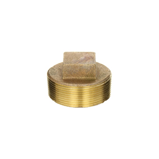 1-1/4" Brass Plug