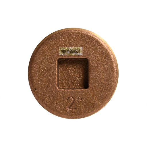 2" Brass Countersunk Cleanout Plug