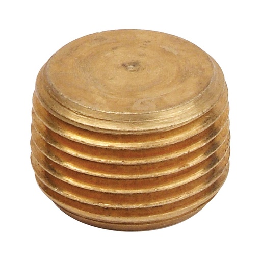 3/8" Brass Countersunk Plug