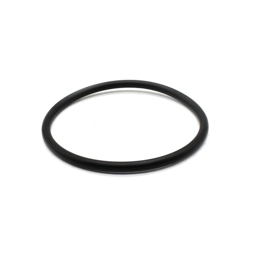 Cylinder O-Ring