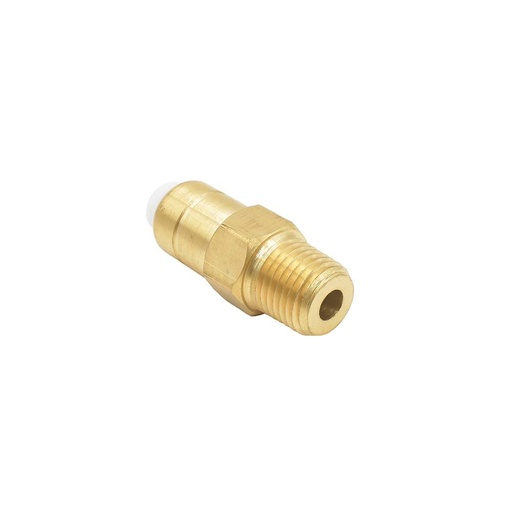 Pressure Washer Brass Thermal Valve - 1/2" MNPT